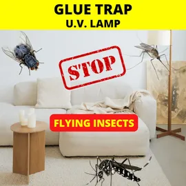 Weitech Klebeplatten Insektenfalle 3er Set
