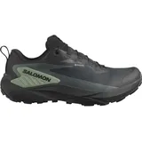 Salomon Genesis Gore-Tex Herren schwarz
