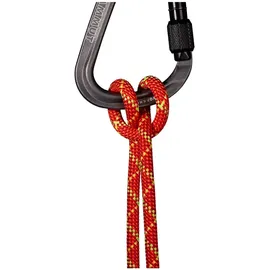 Mammut Alpine Core Protect Dry 8 Mm Seil - Fire / Halo - 40 m