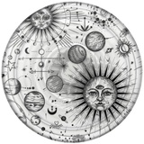 PopSockets PopGrip Plant Cosmic Sun