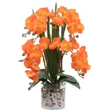 CXGS Künstliche Orchidee, fühlt sich echt an, mit Glasvase in Kunstwasser, realistische künstliche Orchidee, orangefarbene Phalaenopsis-Blumenarrangements, Tafelaufsatz, Tisch, Heimdekoration,