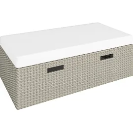 Lounge-Set Sitzgruppe Terrassenmöbel-Set Bostonia 4-tlg. Polyrattan Hellbraun