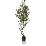 HJH Office Kunstpflanze OLIVE I 172 cm