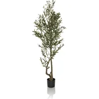HJH Office Kunstpflanze OLIVE I 172 cm