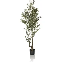 HJH Office Kunstpflanze OLIVE I 172 cm