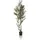HJH Office Kunstpflanze OLIVE I 172 cm