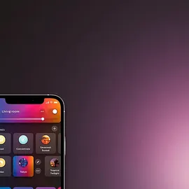 Philips Hue Starter Kit: Bridge Pro and 2 Play Lightbars, White Color Ambiance, Tischleuchte