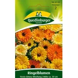 Quedlinburger Ringelblume, Fiesta Gitana Mischung
