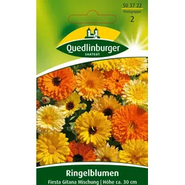 Quedlinburger Ringelblume, Fiesta Gitana Mischung