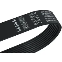 SKF Keilrippenriemen 8PK800 HD