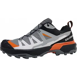 Salomon X Ultra 360 GTX Herren Quiet Shade / Black / Spice Route 42