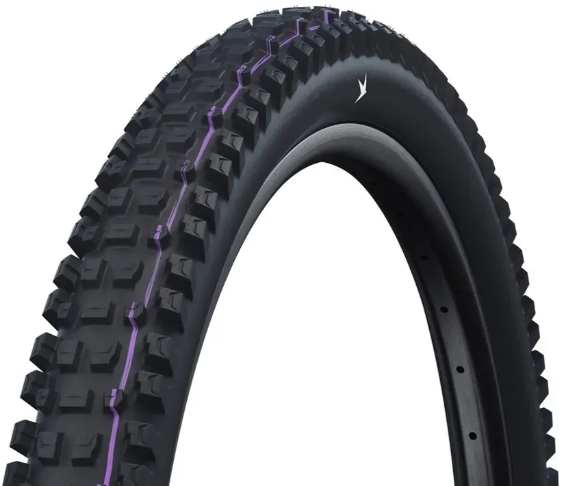 SCHWALBE Reifen Albert Gravity Pro 29 x 2,50 | Radial ADDIX Ultra Soft