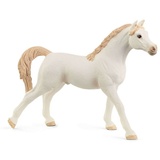 Schleich Horse Club Araber Hengst weiß (72153)