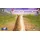 Dein erstes Pferd: Die Reitschule (USK) (Nintendo Switch)