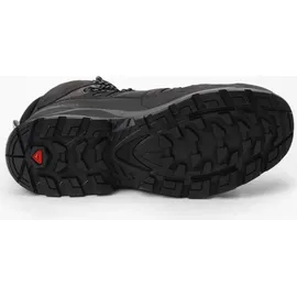Salomon Quest 4 GTX Herren Magnet/Black/Quarry 42 2/3