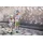 Scoot & Ride Highwaykick 5 LED forest