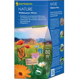 Kiepenkerl Profi-Line Nature Wildblumen-Wiese 664302, 0,5KG - Blumensamenmischung aus Wildblumen, Kräutern und Gräsern und einem Inhalt für 80 qm - Saatgut