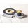 SELTMANN WEIDEN No Limits Tafelservice 12-tlg.