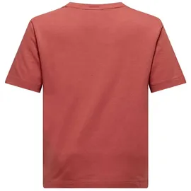 Salewa Graphic Kurzarm-t-shirt - Etruscan Red - 11-12 Jahre
