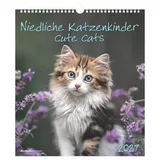 Neumann Niedliche Katzenkinder 2027 Neumann Verlage GmbH & Co. KG / Neumann Verlage GmbH & Co / Kalender