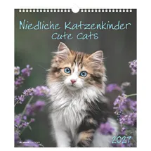 Neumann Niedliche Katzenkinder 2027