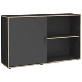FMD Aktenschrank »Elias 20«, schwarz