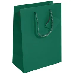 Sigel GT501, Geschenkverpackungstasche, Grün, Monochromatisch, Papier, Matt, 157
