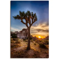 Artland Wandbild »Sonnenuntergang Joshua Tree NationalPark« (1 Stück), in vielen Größen & Produktarten - Alubild / Outdoorbild für den Außenbereich, Leinwandbild, Poster, Wandaufkleber / Wandtattoo auch für Badezimmer geeignet Artland Farbe Bild(er): braun