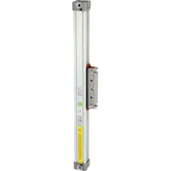 Riegler Kolbenstangenloser Zylinder, doppeltwirk., Kolben- Ø40, Hub 1200