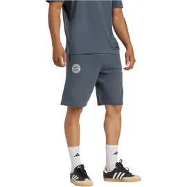 adidas FC Bayern München Shorts 2025/26 grau Herren Gr. M