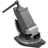 vidaXL 2-Achsen-Schraubstock Kippbar 100 mm