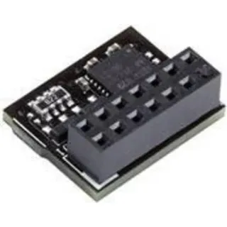 ASUS TPM-SPI Trusted Platform Module (TPM) 2,0 (90MC07D0-M0XBN1)