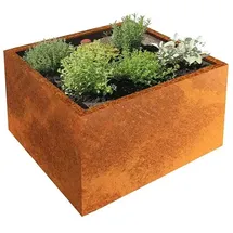 Palatino Clara 80x80x50cm Cortenstahl, Rotbraun)