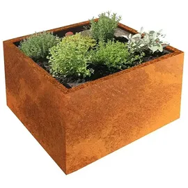 Palatino Clara 80x80x50cm Cortenstahl, Rotbraun)