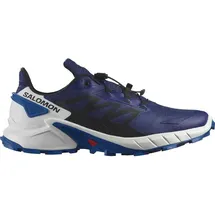 Salomon Supercross 4 Herren Blau 44
