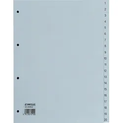 Hetzel Register A4 PP 1-20 grau