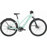 Scott Passage 10 Belt Slope 2026 29 Zoll RH 400 cm Unisex mint green