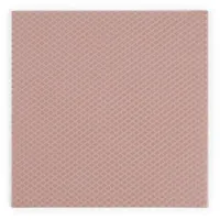 Thermal Grizzly Minus Pad 8 - 100x 100x 0,5 mm