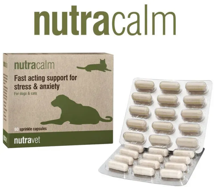 NUTRAVET Nutracalm für Hunde & Katzen 60 Kapseln- für Beruhigung, schnell wirkende Unterstützung bei Stress und Ängsten (Rabatt für Stammkunden 3%)