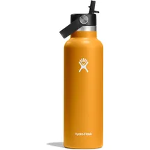 Hydro Flask Standard Flex Straw 620ml Flasche - Fossil - One Size