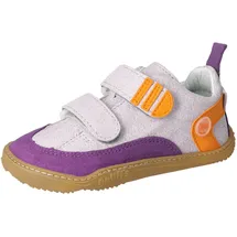 qnuffs Ahorn Lila 30
