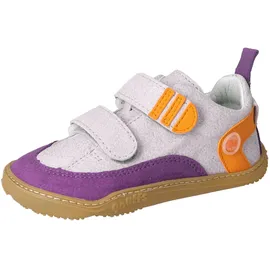 qnuffs Ahorn Kinder Lila 30