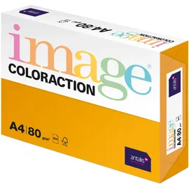 Antalis Image Coloraction 80 g/m² (838A080S8)