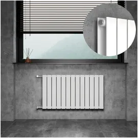 WITEN&NOCK Design Heizkörper 550 x 1006 mm 1126 W weiß Seitenventil