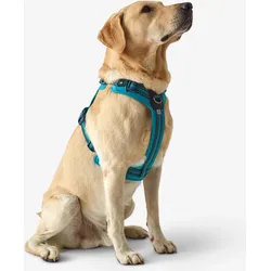 Hundegeschirr Outdoor 500 blau L