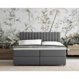 panda möbel Boxspringbett 160x200 EVEREST, mit Topper, mit Bettkästen, Doppelbett, Grau, Panda Möbel - Dunkelgrau