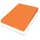 BASSETTI Spannbettlaken Baumwolle-Jersey-Elasthan 180 x 200 - 200 x 220 cm orange