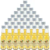 Prinz Wild-Haselnuss-Likör 36x0,02l Miniaturen - Likör aus Österreich