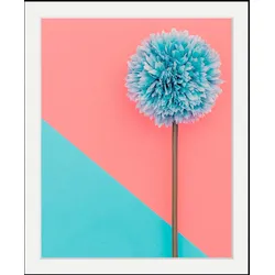 queence Bild »Pusteblume«, Blumen-Blumenbilder-Pflanzen-Kunst, HD Premium Poster-Druck inkl. Holzrahmen queence Farbe Rahmen: schwarz + Farbe Bild(er): bunt