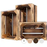 Creative Deco Holzkiste 30 x 20 x 15 cm 3-tlg. braun